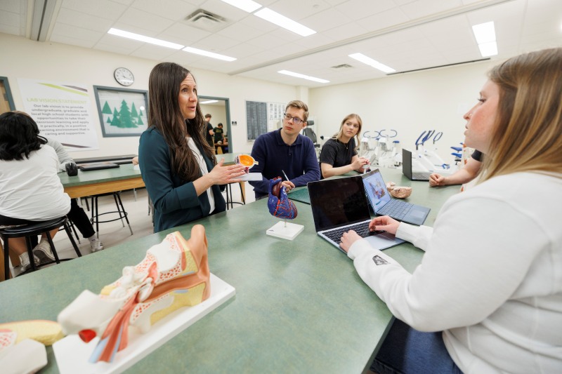 Students collaborate at a kinesiology lab table with anatomy models and laptops.
