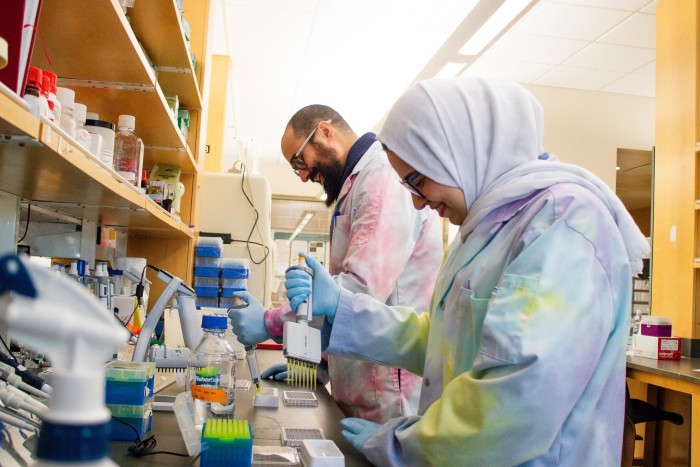 Two researchers in lab coats using pipettes and samples at a laboratory bench.