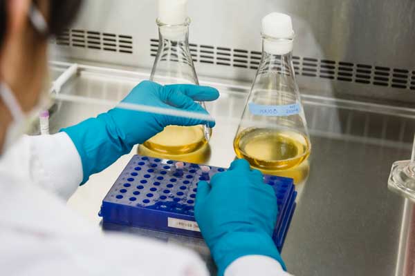 Western College of Veterinary Medicine laboratory